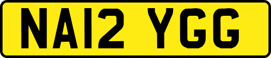 NA12YGG