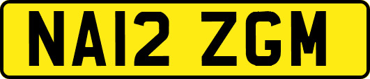 NA12ZGM