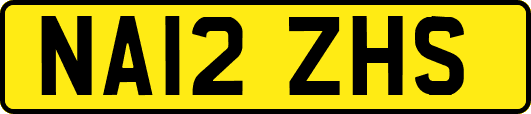 NA12ZHS