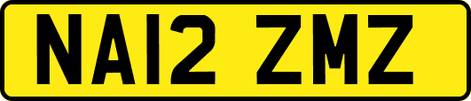 NA12ZMZ