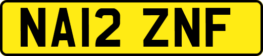 NA12ZNF