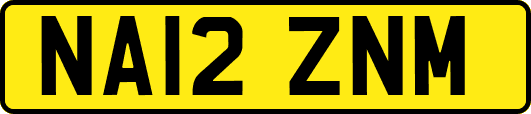 NA12ZNM