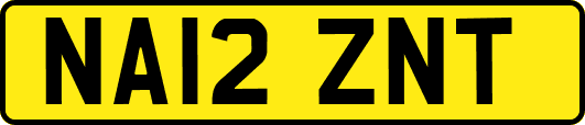 NA12ZNT