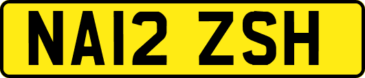 NA12ZSH