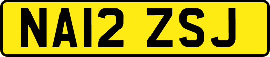 NA12ZSJ