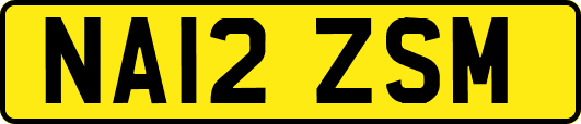 NA12ZSM