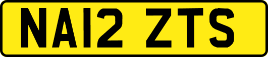 NA12ZTS