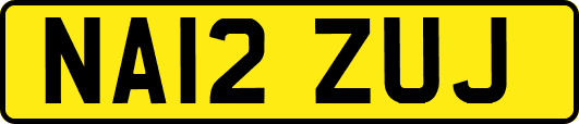 NA12ZUJ