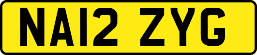 NA12ZYG