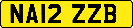 NA12ZZB