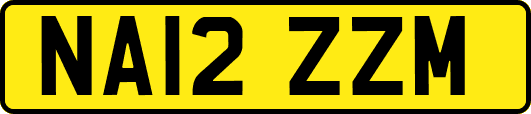 NA12ZZM