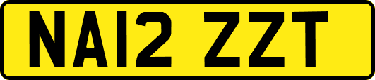 NA12ZZT
