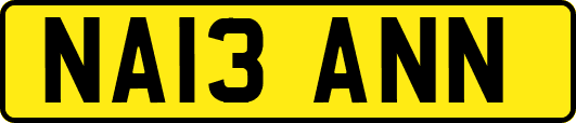 NA13ANN