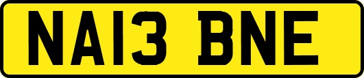 NA13BNE