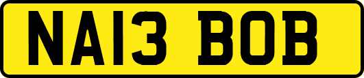 NA13BOB