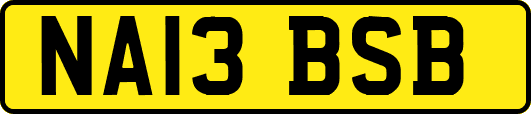 NA13BSB