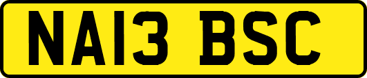 NA13BSC
