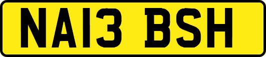 NA13BSH