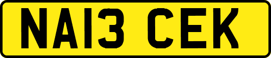 NA13CEK