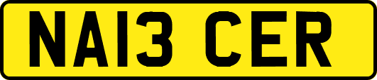 NA13CER
