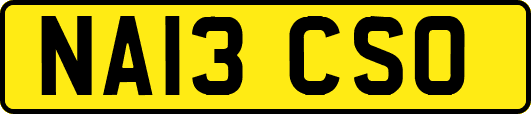 NA13CSO