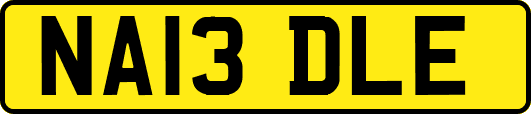 NA13DLE
