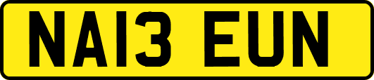 NA13EUN