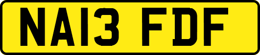 NA13FDF