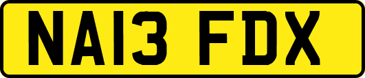 NA13FDX
