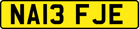 NA13FJE