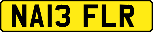 NA13FLR