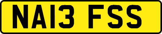 NA13FSS