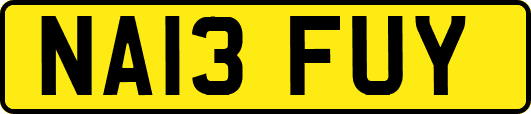 NA13FUY