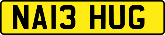 NA13HUG