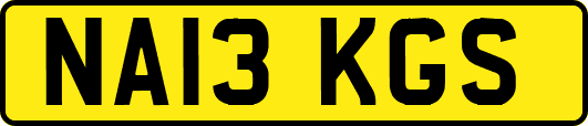 NA13KGS