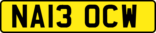 NA13OCW