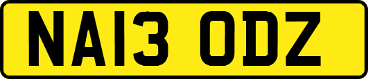 NA13ODZ