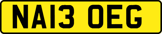 NA13OEG