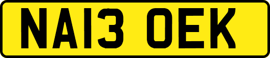 NA13OEK