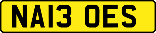 NA13OES