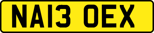 NA13OEX