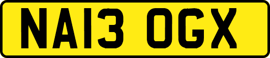 NA13OGX