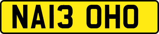 NA13OHO