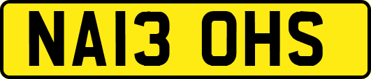 NA13OHS