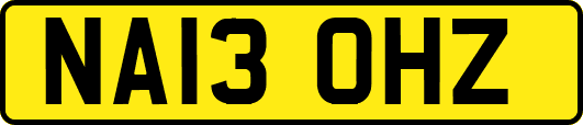 NA13OHZ