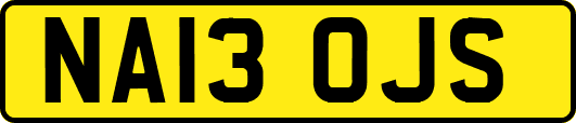NA13OJS