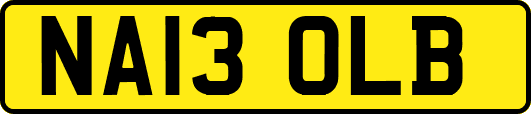 NA13OLB