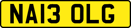 NA13OLG