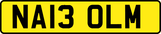NA13OLM