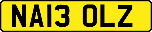 NA13OLZ